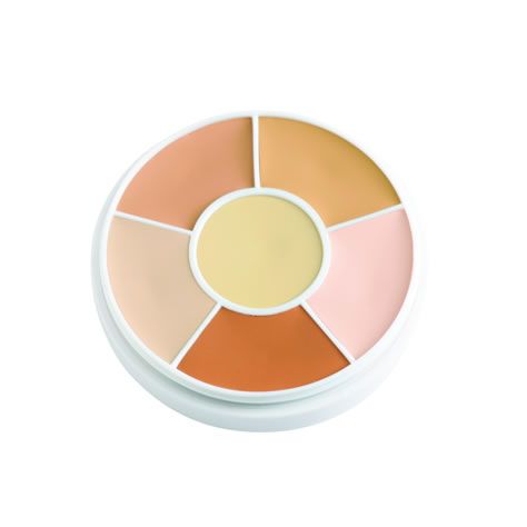 Ben Nye MediaPRO Concealer Palette NKP-12