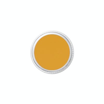 Ben Nye MediaPRO Concealer Palette NKP-12