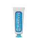 Aquatic Mint Toothpaste 25ml 165172  