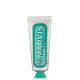 Classic Strong Mint Toothpaste 25ml 165173  