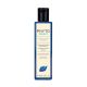 Phytocedrat Purifying Treament Shampoo 8.45oz 217765  